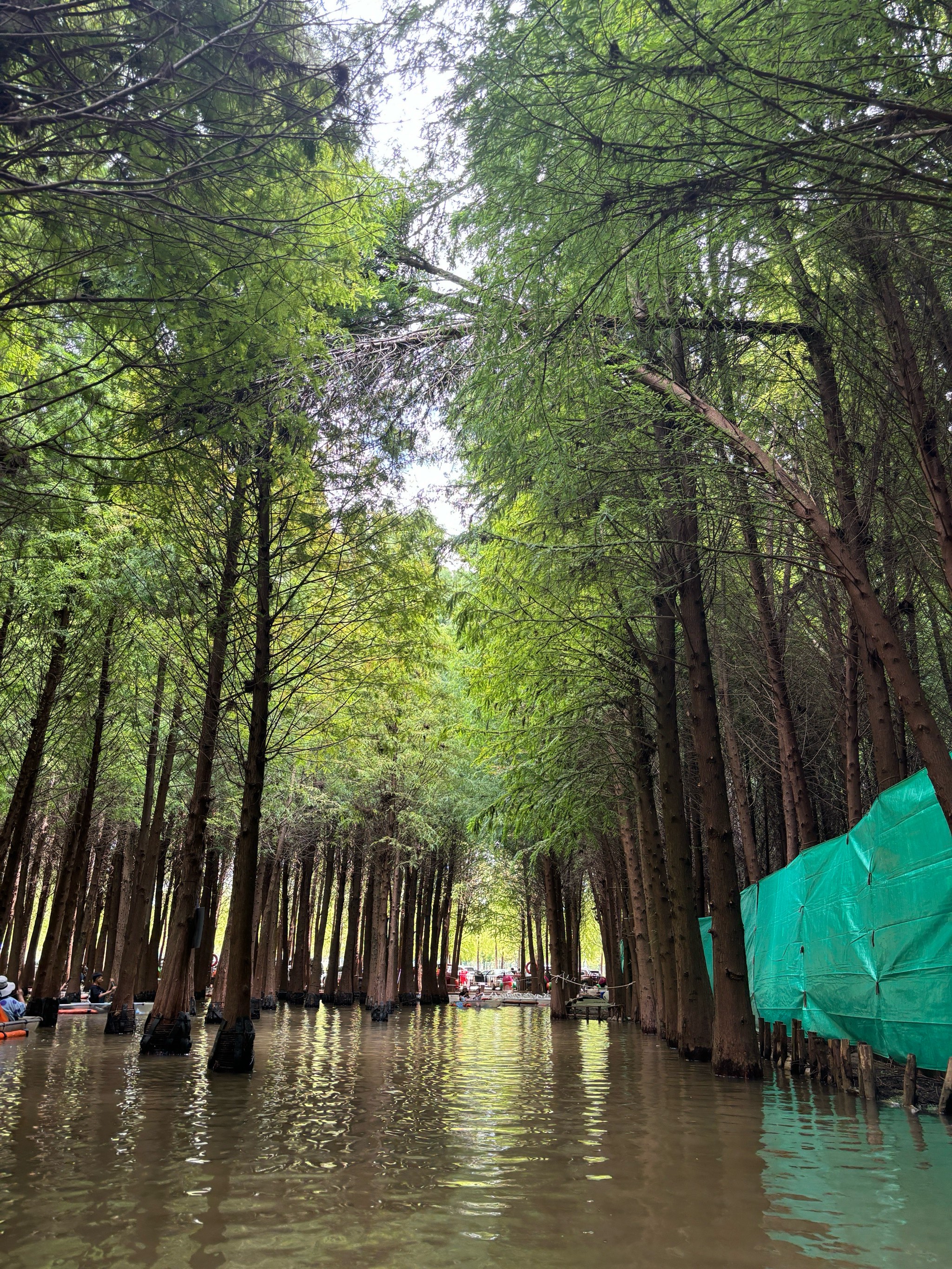 捞鱼河湿地公园图片