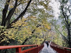 -香山湖家家宴(中山陵店)