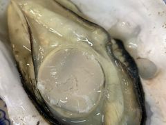 -板桥海鲜广场(文明东店)
