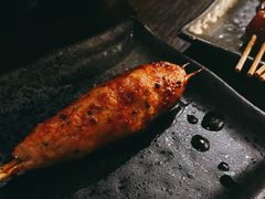 鸡肉丸子-串鑫