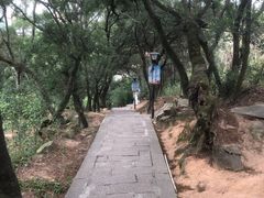 -青芝山风景名胜区