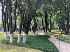 -重庆市江北嘴中央商务区中央公园