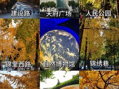 -成都大熊猫繁育研究基地