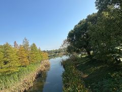 -贡湖湾湿地公园