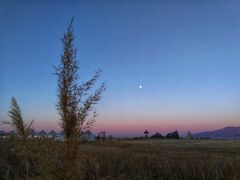 -敕勒川草原文化旅游区