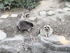 -宁波野生动物园
