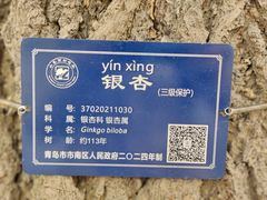 -观象山公园
