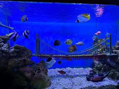 -太平洋海底世界