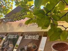 -陆家嘴中心绿地