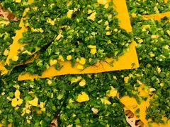 -三泉海中鲜海鲜加工零售广场(幸福时代店)