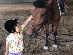 -月河湾马术俱乐部(朝阳店)