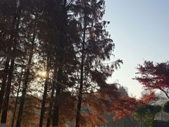-滨湖塘西河公园