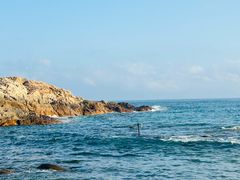 -广东惠东海龟国家级自然保护区