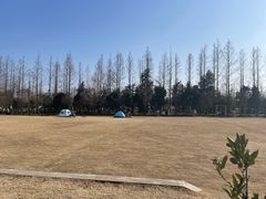 -前小桔亲子创意农场·草莓采摘·露营烧烤