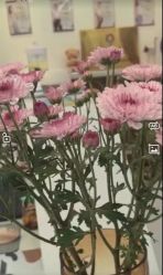 -水沐莲清瑜伽·普拉提