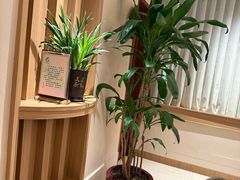 -金河半岛园林酒家(金融城店)