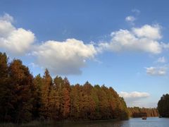 -上海海湾国家森林公园