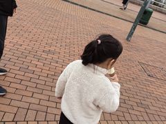 -富豪雪糕车流动点(尖沙咀店)