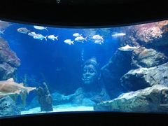 -暹罗海洋世界