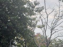 -四海公园(南山区)