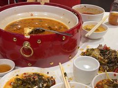 -金鼎轩(亚运村店)