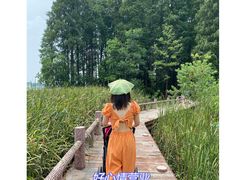 -东湖落雁景区