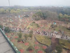 -自然谷恐龙园
