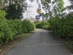 -中国科学院西双版纳热带植物园