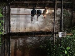 -柴米油盐(土菜院子店)