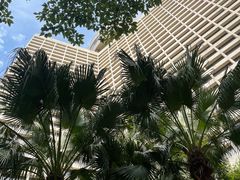 -广州花园酒店