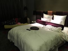 -南京禄口机场雅高铂尔曼大酒店