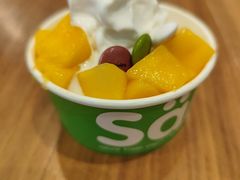 -Salud撒露欧洲冻酸奶(蓝色港湾店)