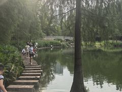 -重庆彩云湖湿地公园
