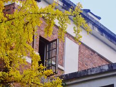 -成都南湖公园
