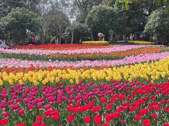 -上海鲜花港