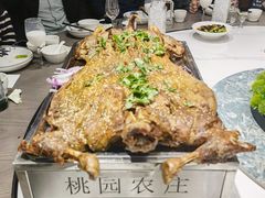 -桃园农庄烤全羊(江秋路店)