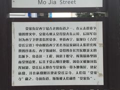 -德禄酸奶(莫家街店)