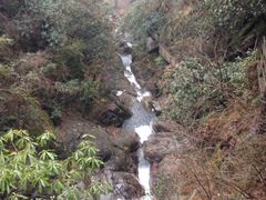 -东天目山风景区