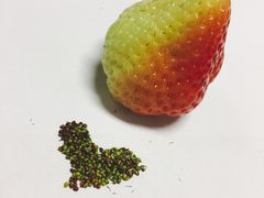 -多乐之日(富力城店)