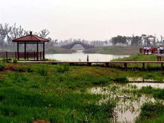 -苏州太湖国家湿地公园