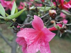 -敬亭山风景名胜区