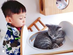 -Catmate·猫肥家润(金润铂宫店)