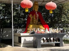 -上海佘山国家森林公园天马山园