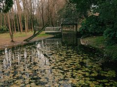 -上海共青森林公园