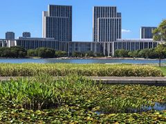 -尚贤河湿地