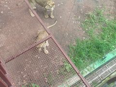 -乐和乐都主题乐园
