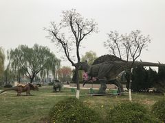 -北京植物园-展览温室