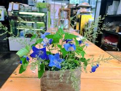 -北马山庄植趣咖啡