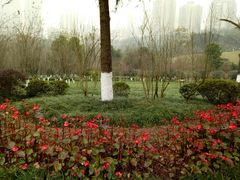 -龙头寺公园