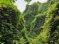 -吴山景区